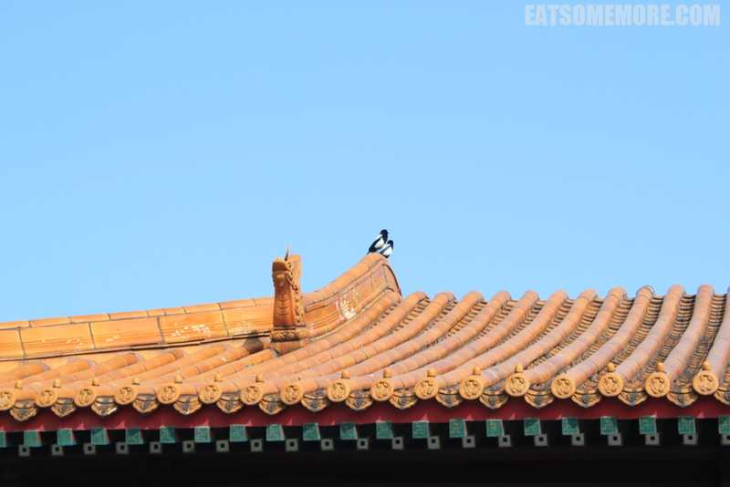 【中国】九省通衢大武汉 2/2【武昌】