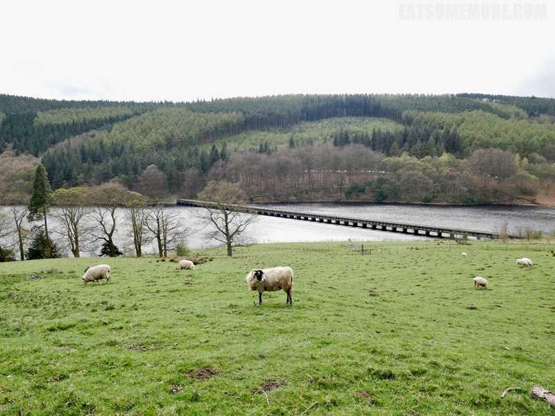 【精选】峰区德文特河谷水库 Ladybower Reservoir