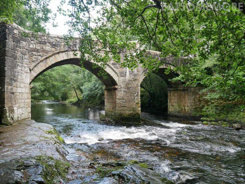 【精选】德文郡荒原国家公园 Dartmoor National Park