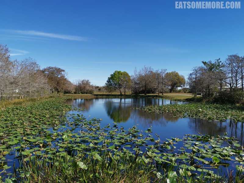 【美国】迈阿密及其周边的阳光生态之旅 1/5