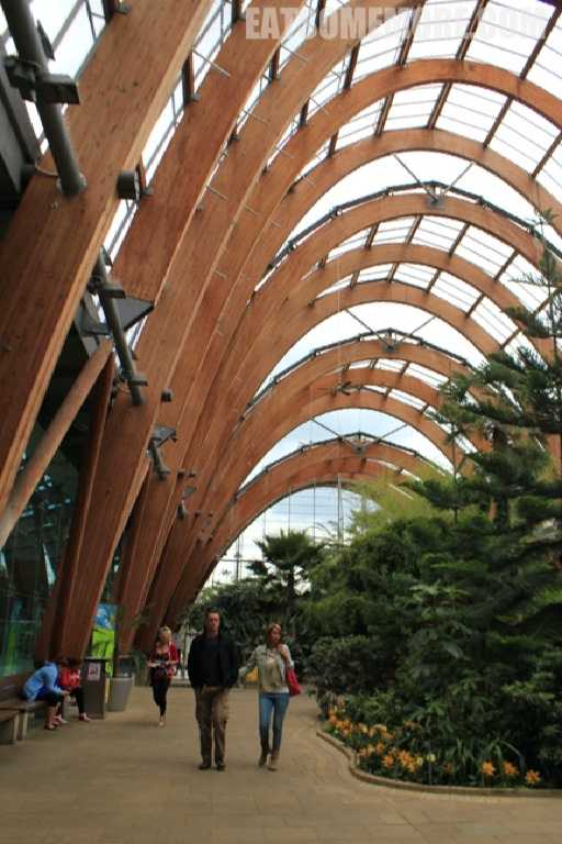 【推荐】谢菲尔德冬日花园