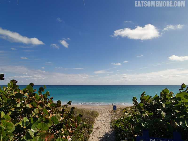 【美国】迈阿密及其周边的阳光生态之旅 3/5