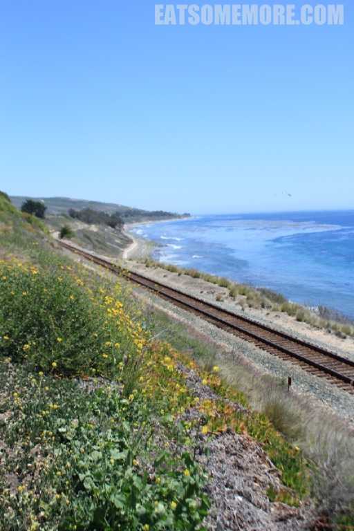 【美国】非典型美国两岸游 5/8【圣迭戈】