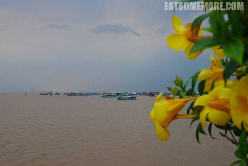 【柬埔寨】高棉热浪 3/4