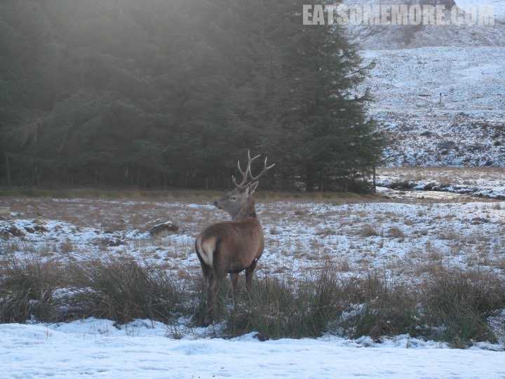 【冬】苏格兰高地