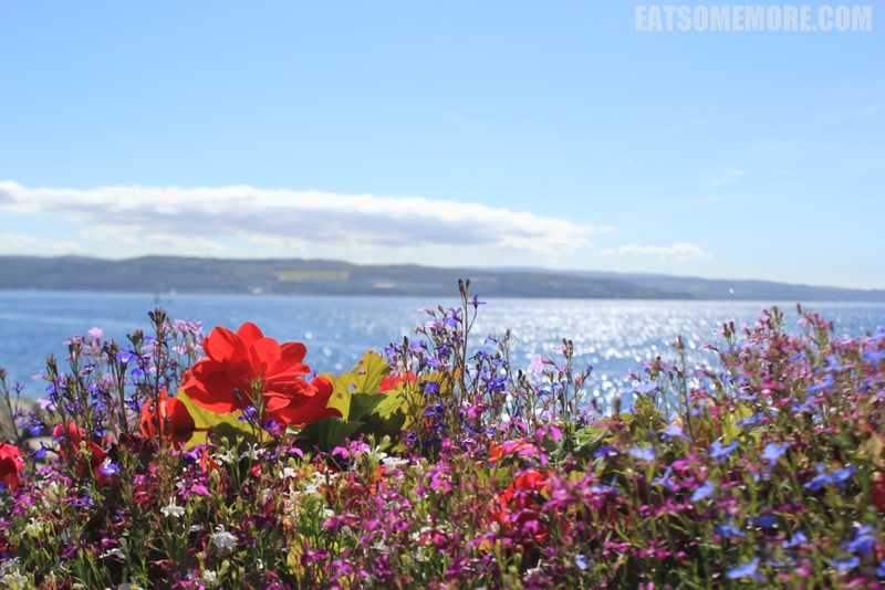 【夏】苏格兰高地