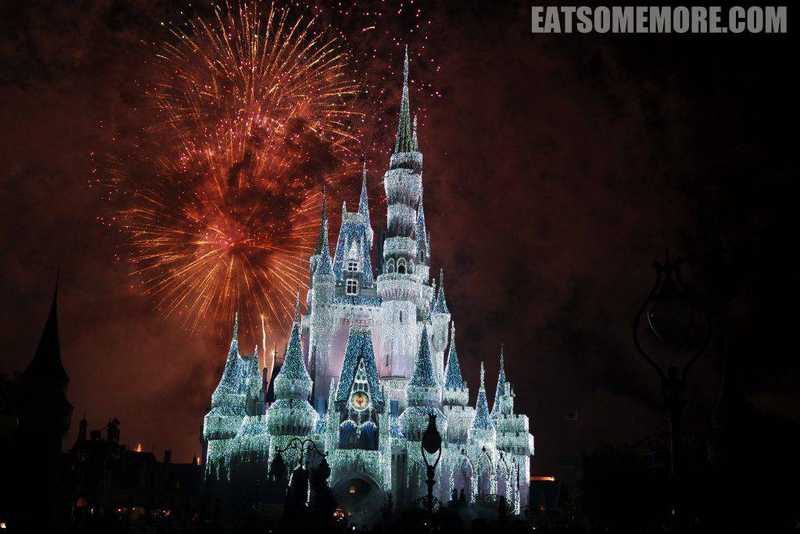 【美国】阳光明媚水清沙白椰林树影的佛州圣诞