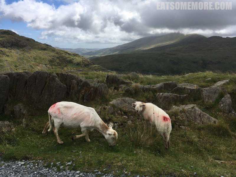 【必去】雪窦尼亚国家公园 Snowdonia National Park