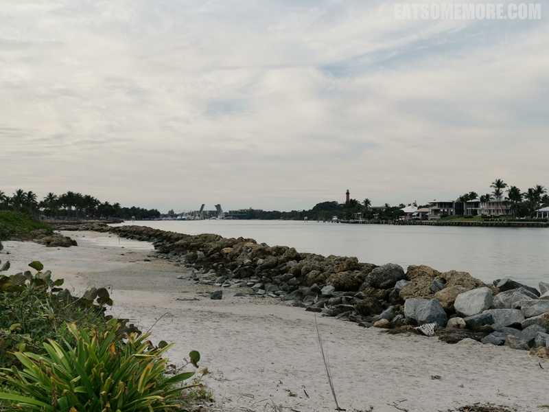 【美国】迈阿密及其周边的阳光生态之旅 2/5